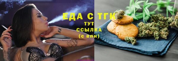 первитин Горняк